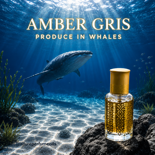Amber Gris Premium Quality Oil