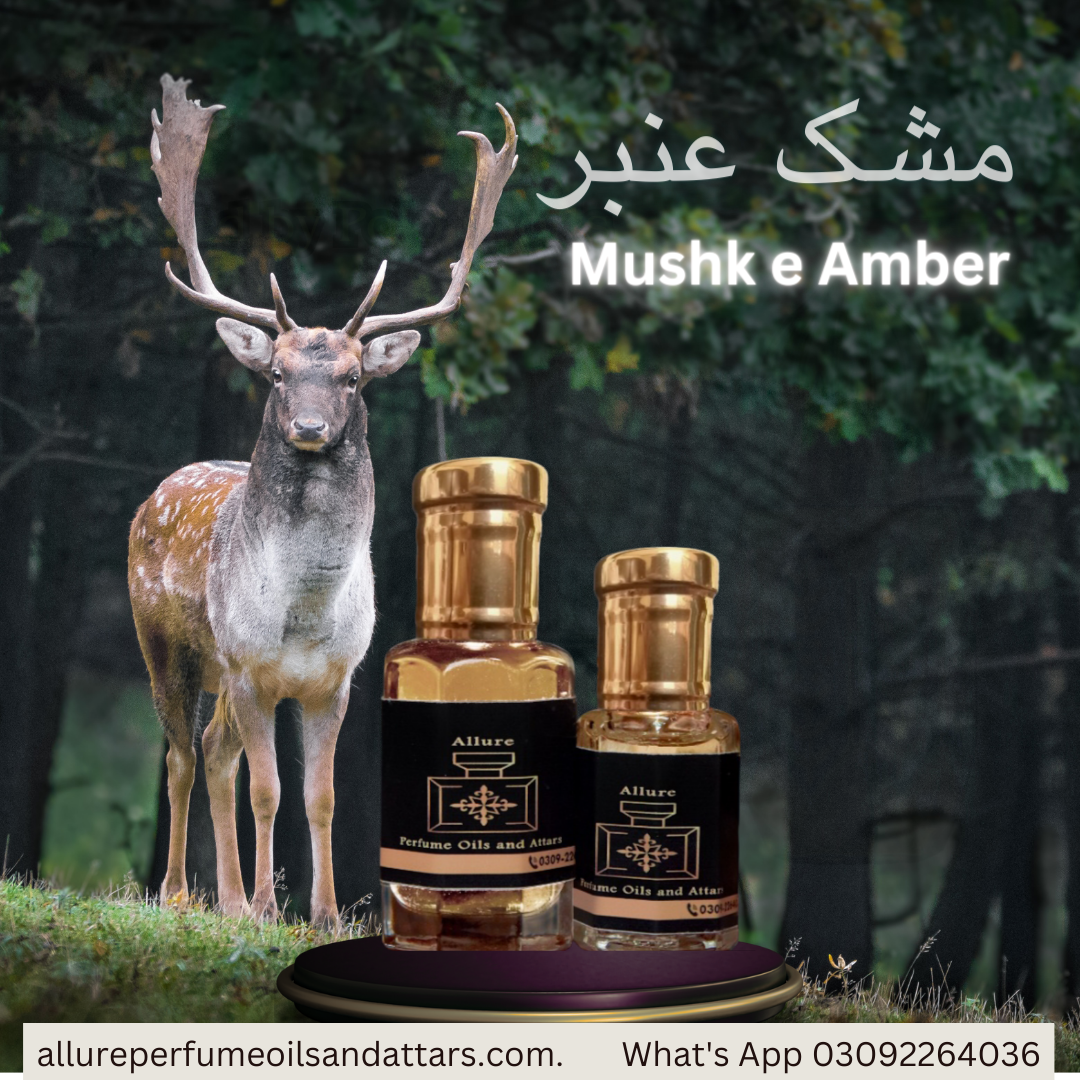 Mushk e Amber Attar in High Quality (perfume oil)