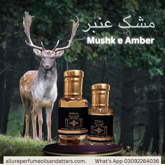 Mushk e Amber Attar in High Quality (perfume oil)